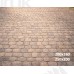 Tło fotograficzne „Niebieski domek wśród żółtych tulipanów” | E852